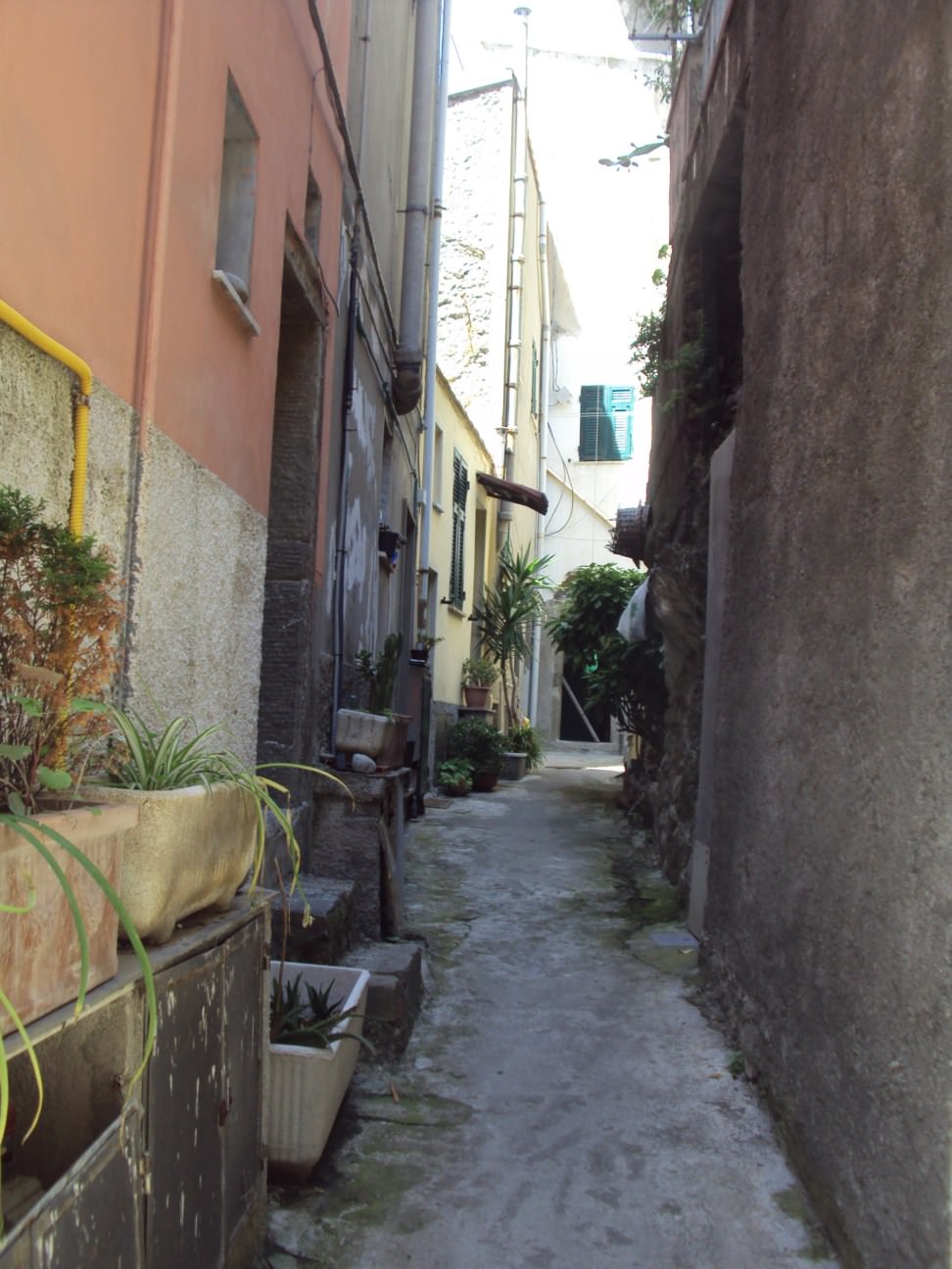 DSC07651