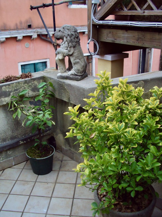 Obiective Venetia Hotel
