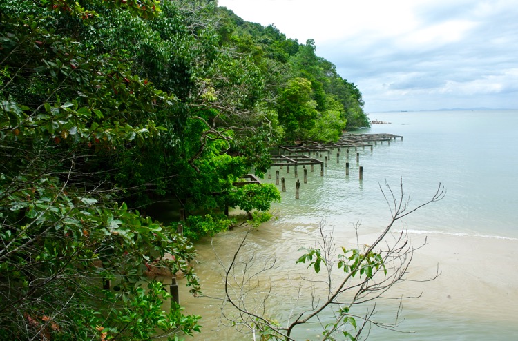 Junglă şi plajă în Parcul Naţional din Insula Penang 30
