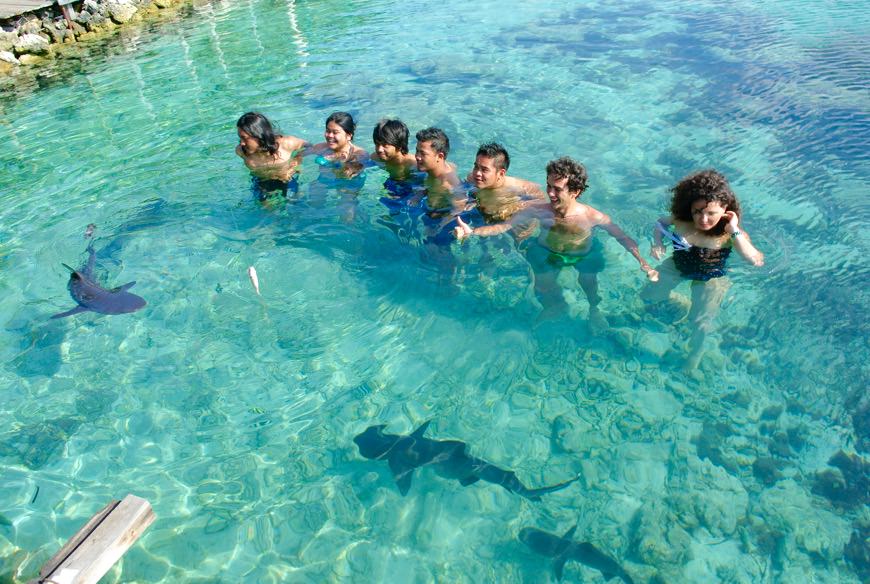 baie intr-o piscina naturala cu rechini 09