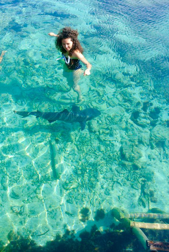 baie intr-o piscina naturala cu rechini 13