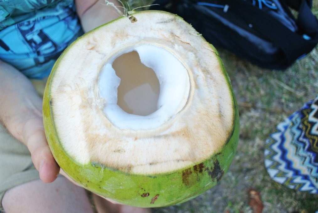 Apa de cocos asia (10)