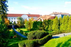 Hotelul PRIVO Târgu Mureș 6