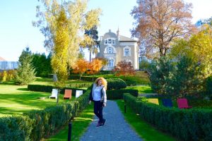 Hotelul PRIVO Târgu Mureș 5