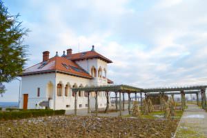 Domeniul Viticol Vila Dobrușa