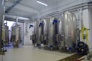 Asa se produce vinul de Dragasani la AVINCIS