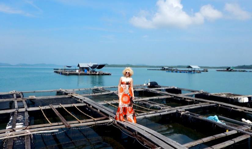 Krabi ferma pescuit golful Phang Nga