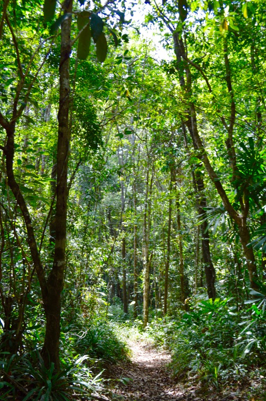 Krabi Jungle Safari izvoare termale Templul Grota Tigrului 7 18