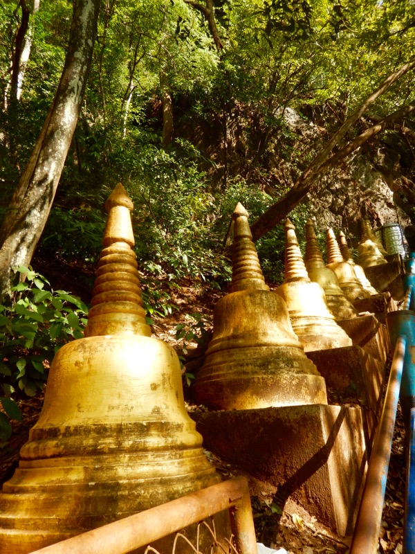 Krabi Jungle Safari izvoare termale Templul Grota Tigrului 7 16