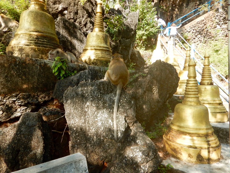 Krabi Jungle Safari izvoare termale Templul Grota Tigrului 7 15