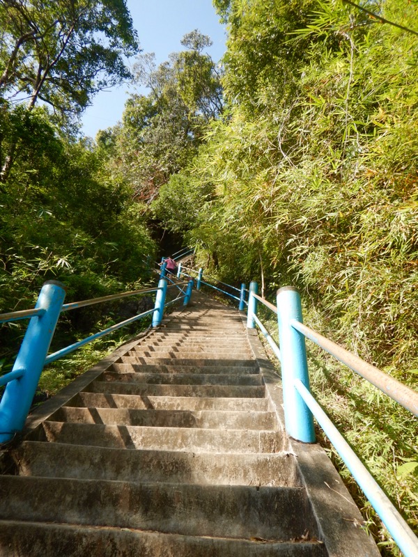 Krabi Jungle Safari izvoare termale Templul Grota Tigrului 7 14