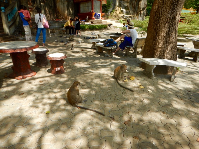 Krabi Jungle Safari izvoare termale Templul Grota Tigrului 7 8