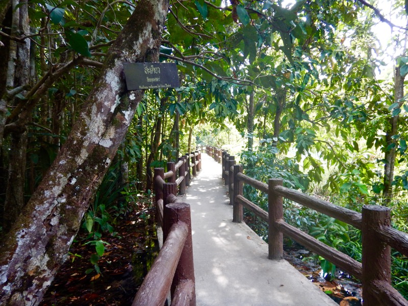 Krabi Jungle Safari izvoare termale Templul Grota Tigrului 7 2