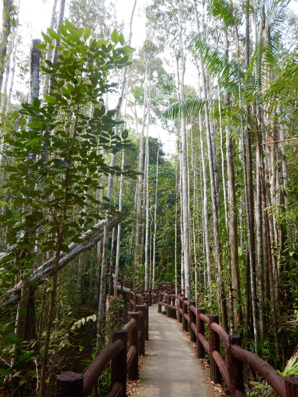 Krabi Jungle Safari izvoare termale Templul Grota Tigrului 7