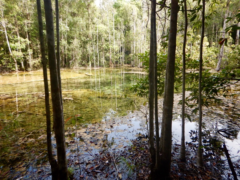 Krabi dincolo de plaje: Jungle Safari, izvoare termale Templul Grota Tigrului 2