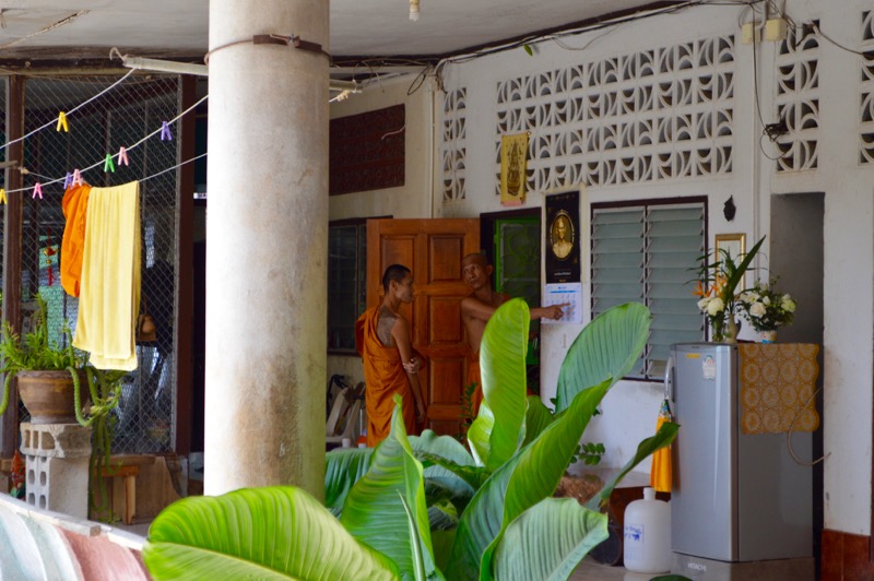 Krabi Jungle Safari izvoare termale Templul Grota Tigrului 7 23