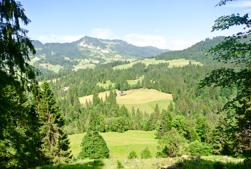 Schönenbach Vorarlberg Austria 8