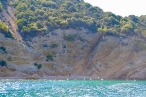 Agios Sostis Limenaria Potos Coraziere in Thassos 20 31