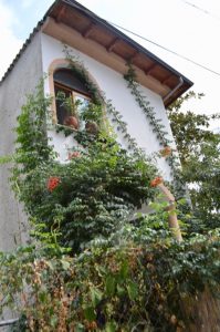 atractii satul Panagia insula Thassos 20