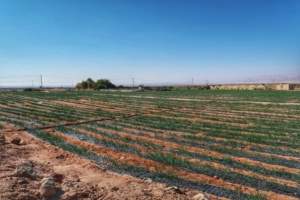 Traseu Iordania trei zile 26