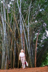 Gradina Botanica Sri Lanka