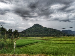 Dambulla Matale Kandy Sri Lanka 5