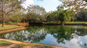 Sigiriya Sri Lanka 17