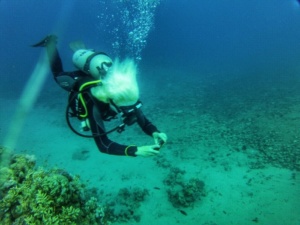 Advanced Open Waters Dahab Scufundari 28