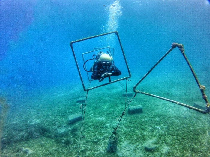 Advanced Open Waters Dahab Scufundari 27