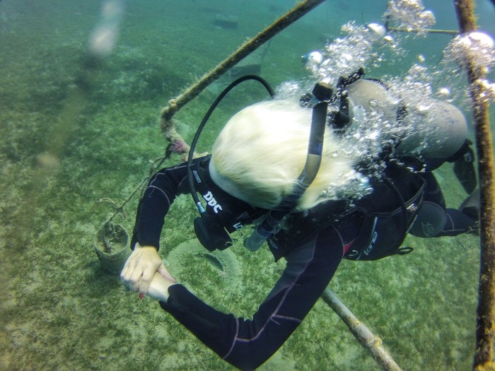 Advanced Open Waters Dahab Scufundari 26