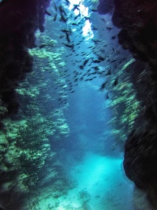 Advanced Open Waters Dahab Scufundari 20