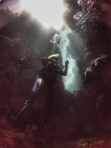 Advanced Open Waters Dahab Scufundari 16