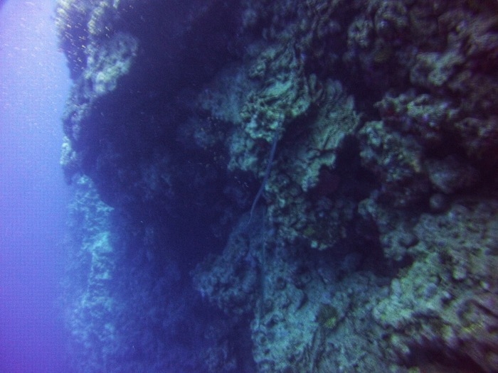 Advanced Open Waters Dahab Scufundari 15