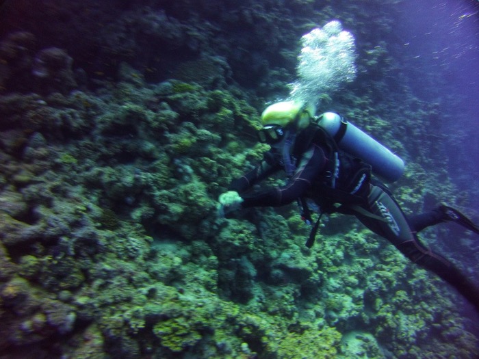 Advanced Open Waters Dahab Scufundari 14