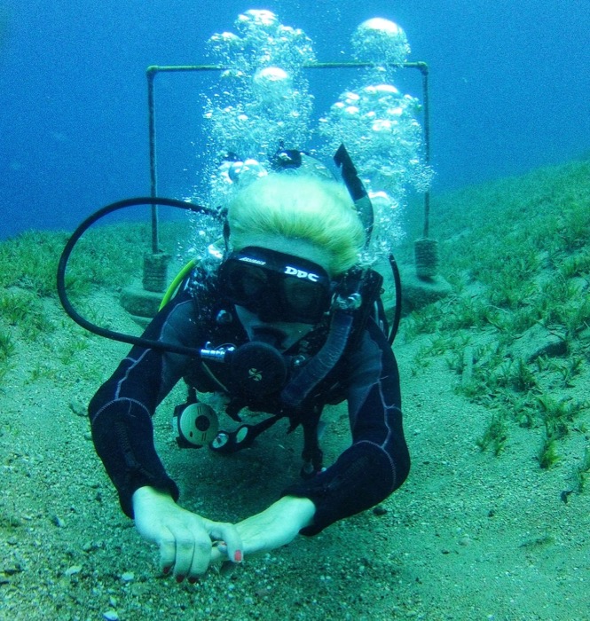 scuba diving dahab