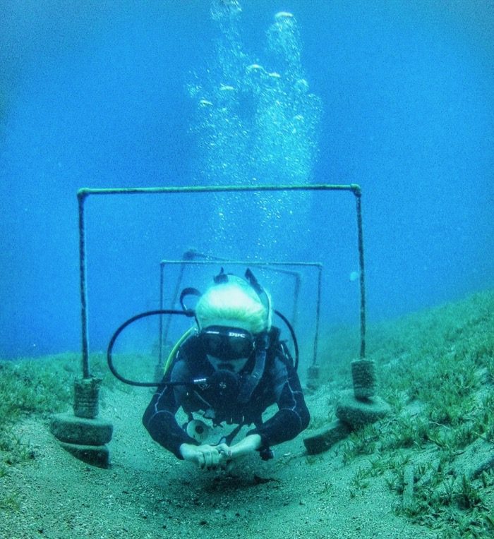 flotabilitate scufundari dahab