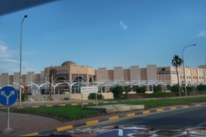 desert safari doha