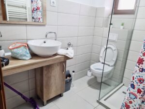 pensiunea piemont vistisoara 14