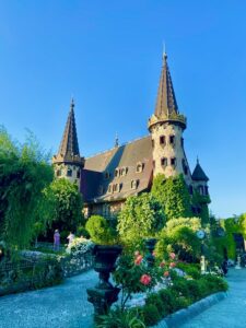 Castelul ravadinovo